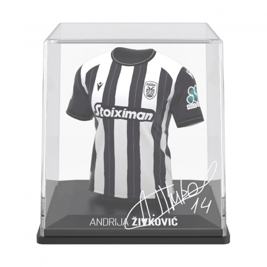 FanCollex: MyJersey - Paok Home 24/25 Zivkovic (53MY00003)