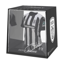 FanCollex: MyJersey - Paok Home 24/25 Zivkovic (53MY00003)