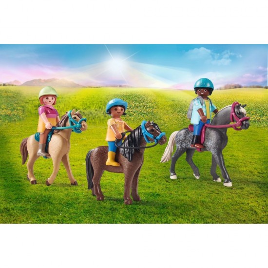 Playmobil Country Πικ Νικ Στην Εξοχή 71239