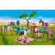 Playmobil Country Πικ Νικ Στην Εξοχή 71239