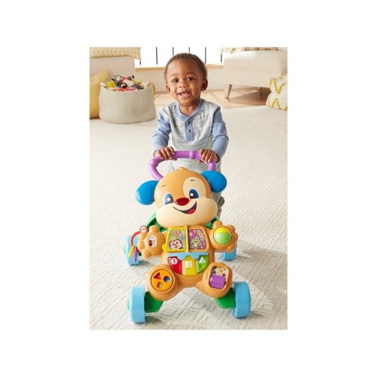 Fisher Price Εκπαιδευτική Στράτα Σκυλάκι Smart Stages FTC66