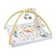 Fisher-Price Simply Senses Newborn Gym HRB15