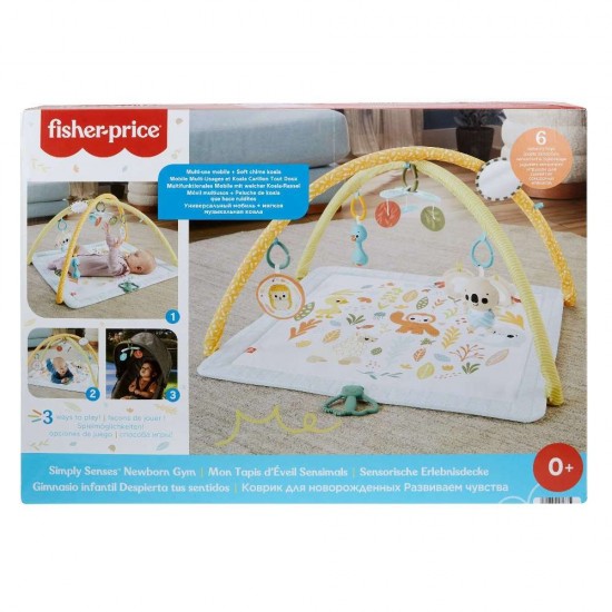 Fisher-Price Simply Senses Newborn Gym HRB15