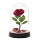 Paladone Disney Beauty and the Beast: Enchanted Rose Light