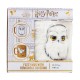 Pyramid Harry Potter - Hedwig Fuzzy Mug FZMG2401037