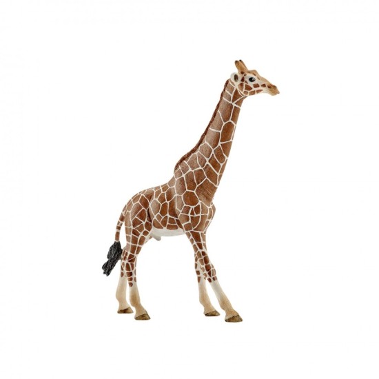 Schleich Μινιατούρα Καμηλοπάρδαλη 14749