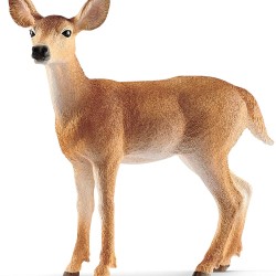 Schleich Ελαφίνα με Λευκή ουρά SCH14819