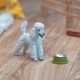 Schleich Farm World Σκύλος Poodle SCH13917