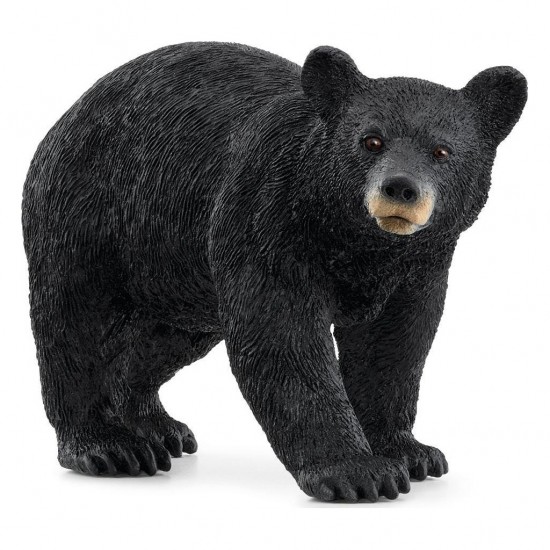 Schleich Μινιατούρα Αμερικάνικη μαύρη Αρκούδα