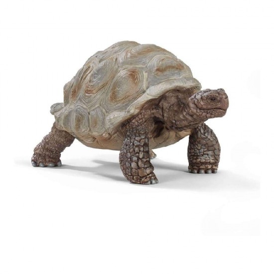 Schleich Χελώνα SCH14824